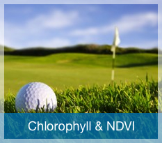 Chlorophyll & NDVI